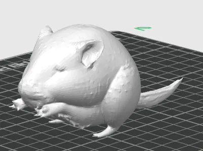 I made this mouse looking thing.