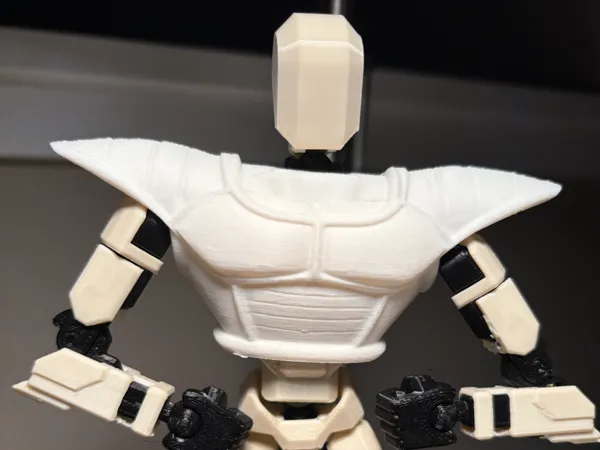 https://makerworld.bblmw.com/makerworld/model/US28e2e4628bc406/design/eadc3daf92a746ad.jpeg