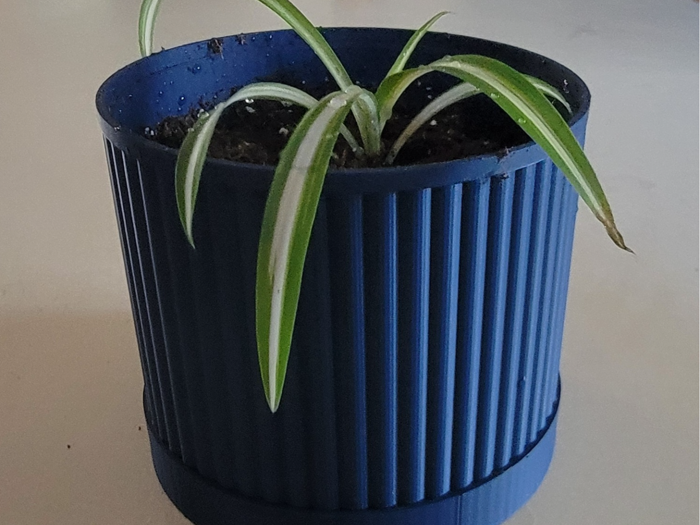 Modern Planter Pot with Rib Texture and Tray