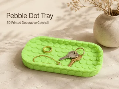 Modern Pebble Dot Valet Tray 