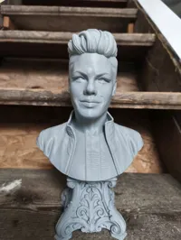 0.16mm layer, 2 walls, 15% infill