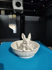 0.2mm layer, 2 walls, 10% infill