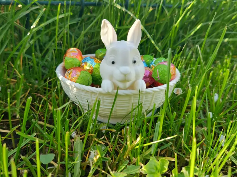 Easter Bunny Basket – Decorative Candy Bowl