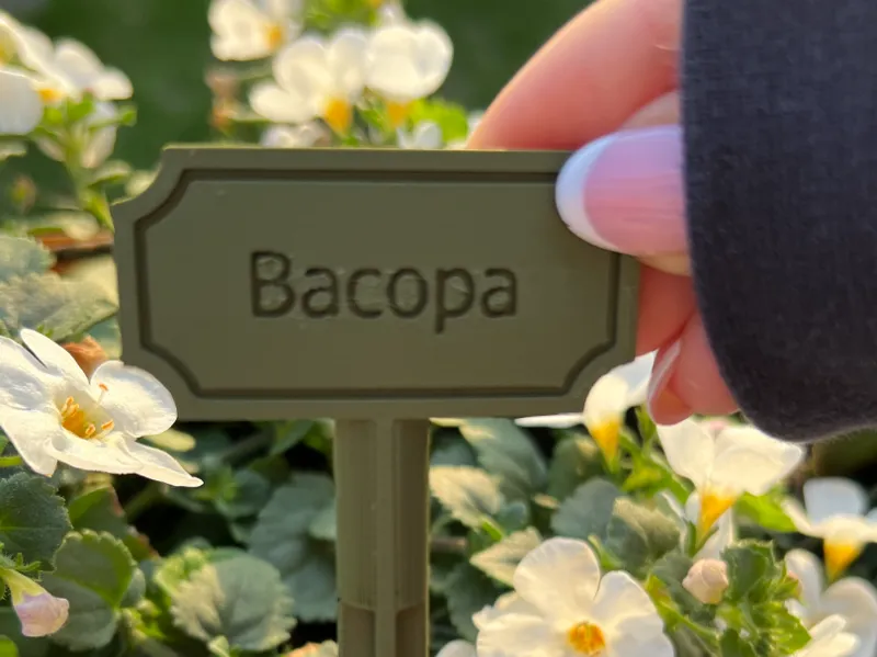 Becopa Schild
