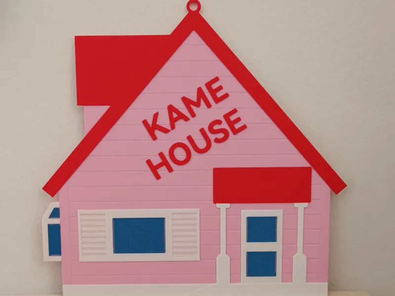 KAME HOUSE CUADRO DECORATIVO