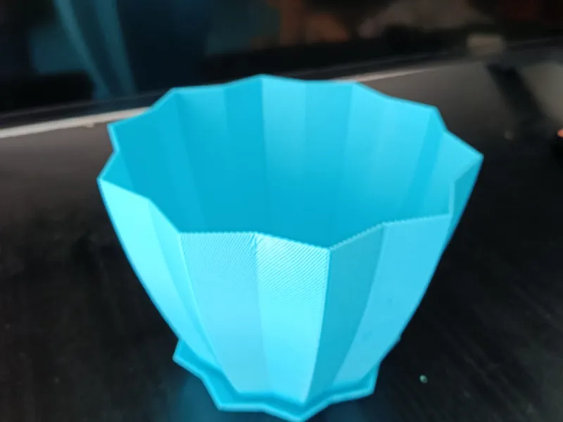 vaso per piante