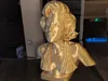 0.2mm layer, 2 walls, 5% infill
