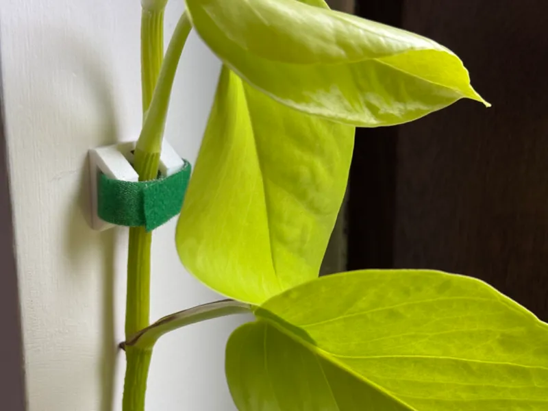 Plant wall support for velcro