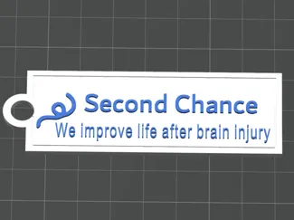 Second Chance Charity Keychain