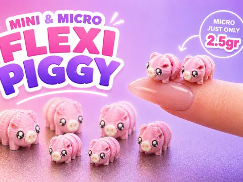 Mini & Micro Flexi Piggy