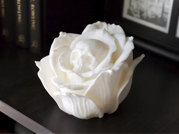 https://makerworld.bblmw.com/makerworld/model/US29003bc5885d46/design/2025-10-21_823452262084b.jpg