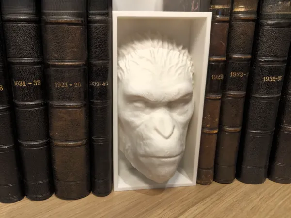 https://makerworld.bblmw.com/makerworld/model/US29061d4c261eb0/design/2025-01-11_98c9bfcdf26e5.jpg