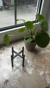 D7, 0.2mm layer, 2 walls, 15% infill