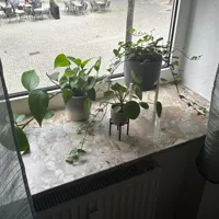 Support pour pot de plante — photo 5