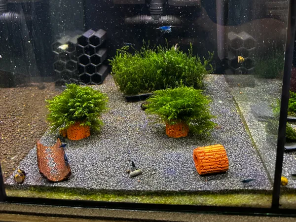 https://makerworld.bblmw.com/makerworld/model/US29094fb482e609/design/2025-11-30_4091e79acf6a6.jpg