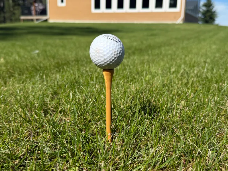 Long Golf Tee