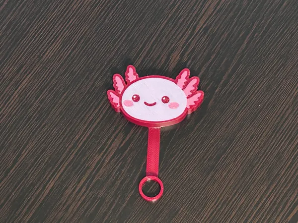 https://makerworld.bblmw.com/makerworld/model/US2915130dfbec11/design/2024-12-28_954093449a198.jpg