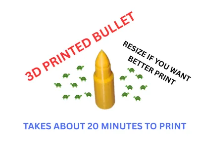 3D Printed Bullet
