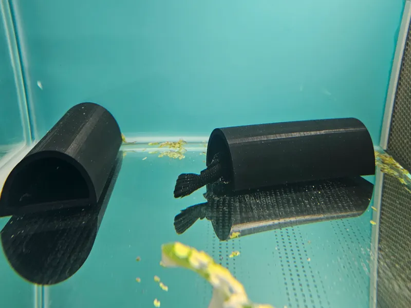 Fish Cave for plecos with removeable back