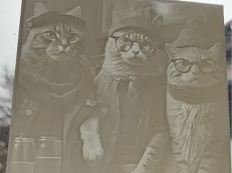 Hipster cats on the club