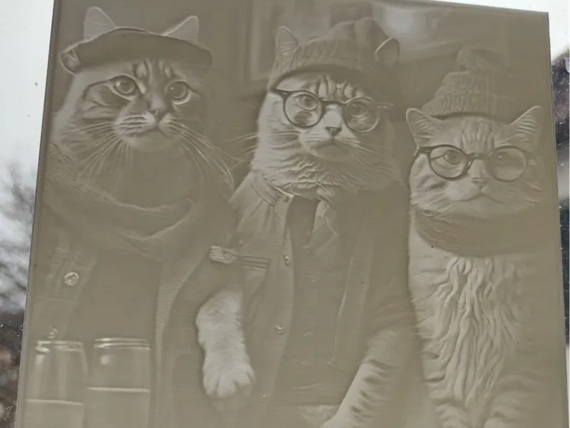 Hipster cats on the club