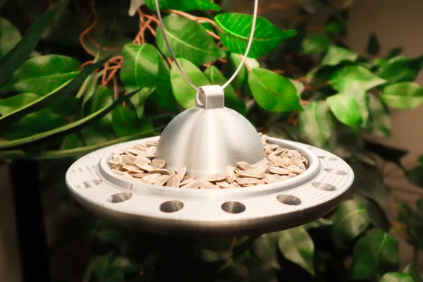 https://makerworld.bblmw.com/makerworld/model/US291e14151bf74a/design/2024-03-26_c77479133b3d2.jpg