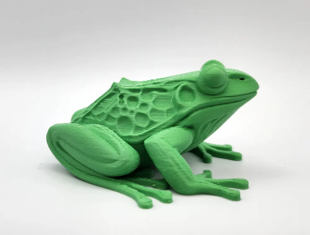 Realistic Frog - Free 3D Print Model - MakerWorld