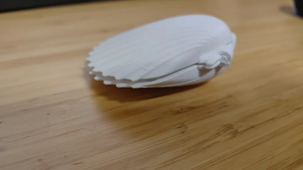 shell box by freesoul MakerWorld: Download Free 3D Models