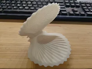 shell box
