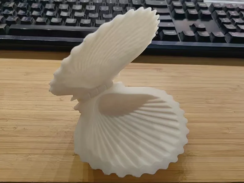 shell box