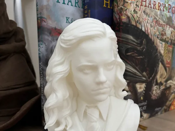 https://makerworld.bblmw.com/makerworld/model/US2927ad8b037ce1/design/64d361ad845fd631.jpeg