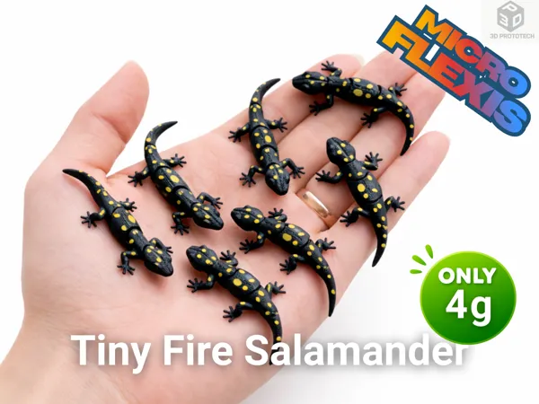 https://makerworld.bblmw.com/makerworld/model/US292e3b209fad3d/design/bc88f2e6a82ad75d.png