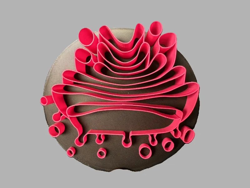 Golgi Apparatus Organizer