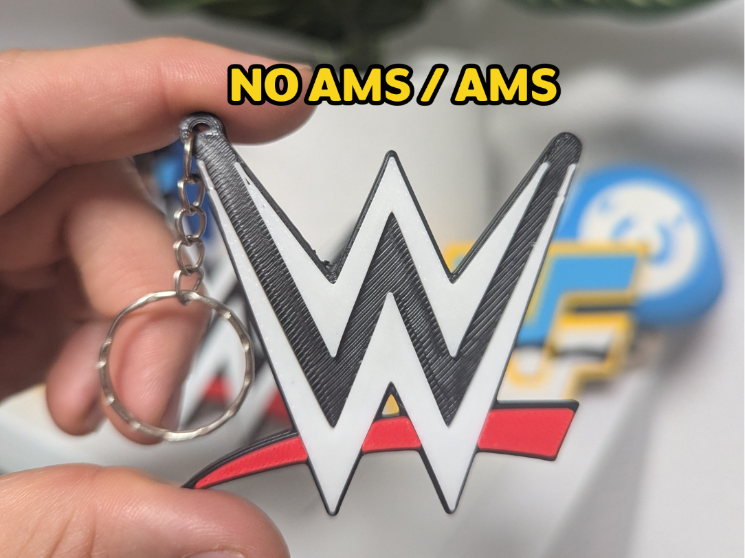 WWE Keychain (NO AMS/AMS)