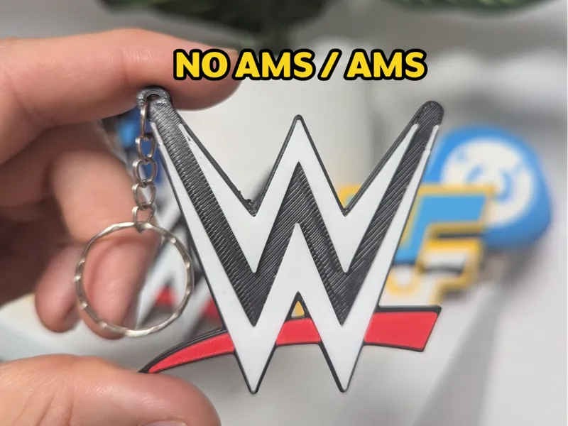 WWE Keychain (NO AMS/AMS)