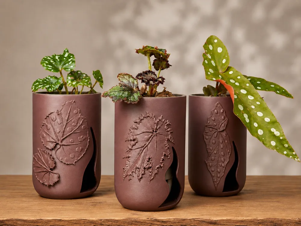 Begonia Set Trio – 2 of 3 Designs - Free 3D Print Model - MakerWorld