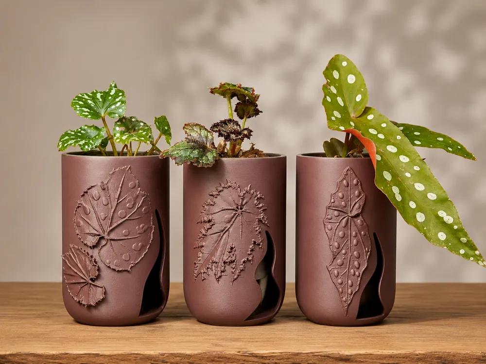 Begonia Set Trio – 2 of 3 Designs - Free 3D Print Model - MakerWorld