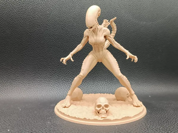 https://makerworld.bblmw.com/makerworld/model/US293e9785deddec/design/2025-12-29_3459dad4eb954.jpg