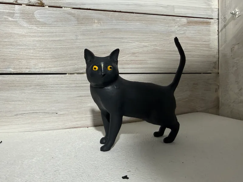 Cat acting weird