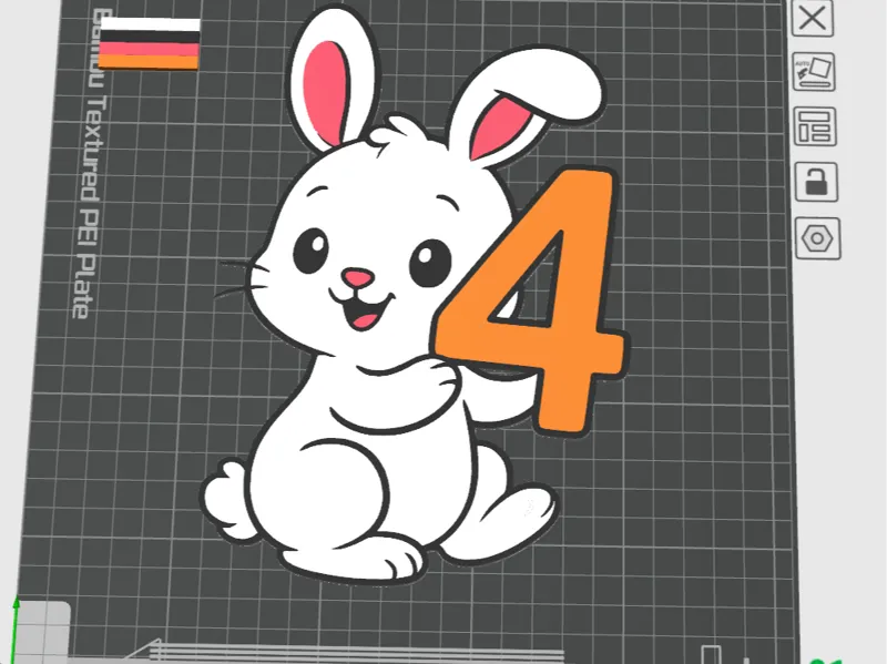 Baby 4 month, Rabbit 