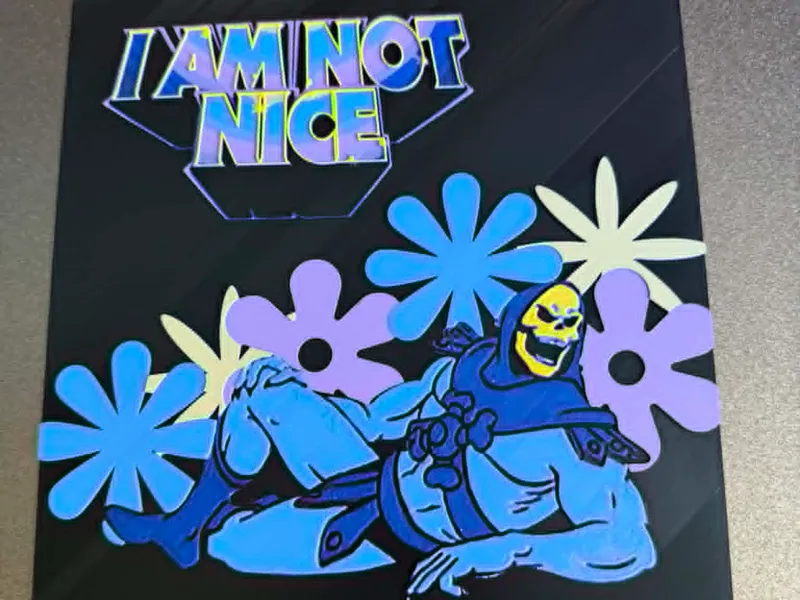 “I Am Not Nice” Skeletor Meme Hueforge