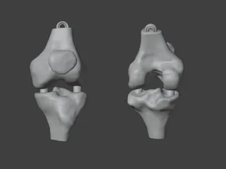 Kneychain - A knee keychain