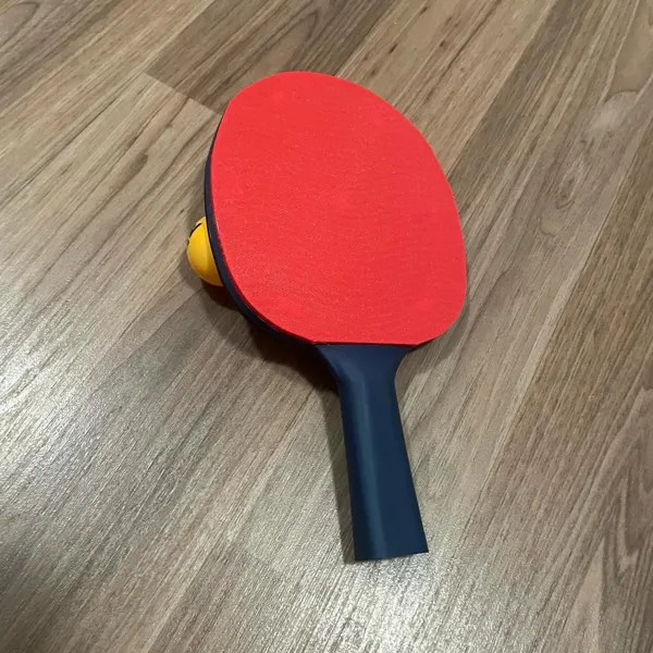 https://makerworld.bblmw.com/makerworld/model/US29456130af2f36/design/2024-04-14_966f777557821.jpg