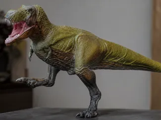 Tyrannosaurus (T REX)