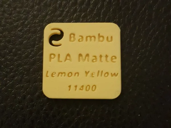 https://makerworld.bblmw.com/makerworld/model/US2948883b79d8ae/design/2025-03-16_15b38f0727f97.jpg