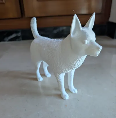 The Dog