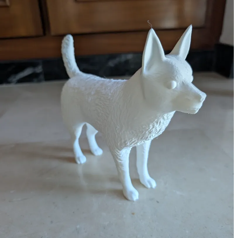 The Dog