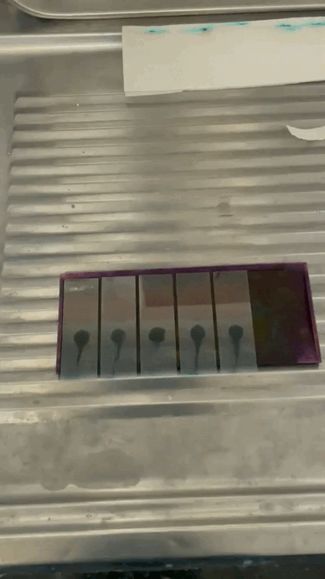 Lamina para teñir placas de Laboratorio