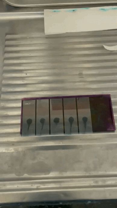 Lamina para teñir placas de Laboratorio