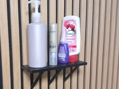 Stable Shelf for Acoustic Panel